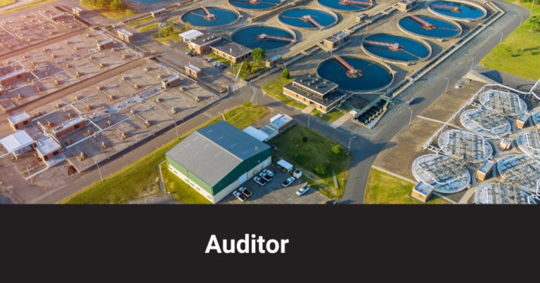 14001 Auditor
