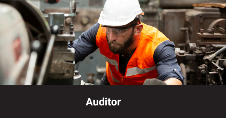 9001 Auditor