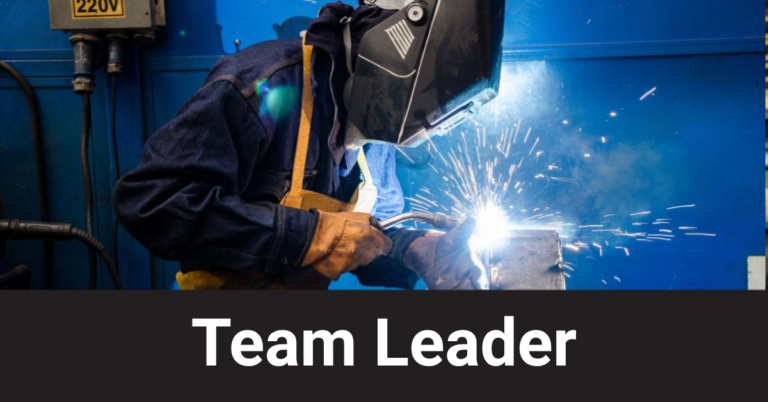ISO 9001:2026 Virtual Team Leader Course