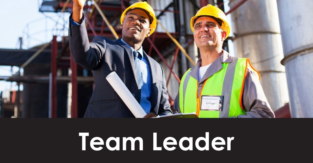 ISO 14001:2015 Virtual Team Leader Course